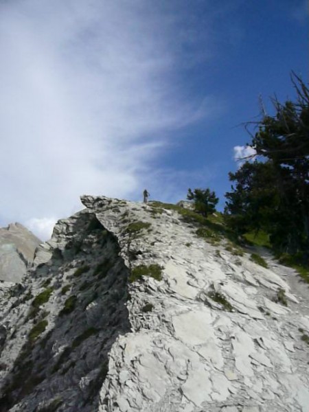 #19 Crête d Crête d'Andreveysson : Encore une photo pour le plaisir des yeux.