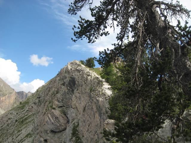 #15 Ligne de crête : On voit mieux l Ligne de crête : On voit mieux l'exposition vue d'en dessous...