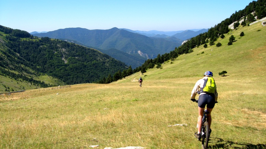 col Lachau : Ne pas prendre la piste... mais à gauche sous la bergerie..