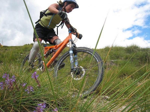 #9 Action : Yoyo ride les fleurs Action : Yoyo ride les fleurs