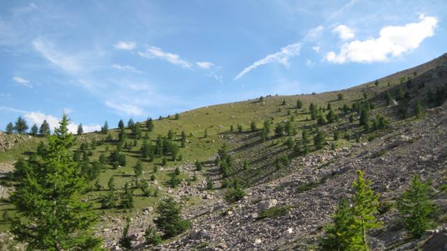 #4 Prairie : Sous le plateau de la Croix. Prairie : Sous le plateau de la Croix.