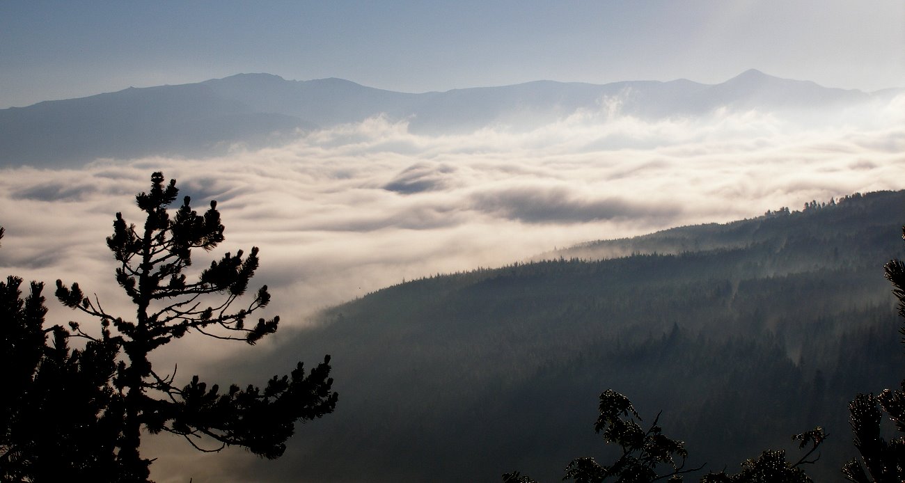 Brumes matinales : En montant à la Balmeta