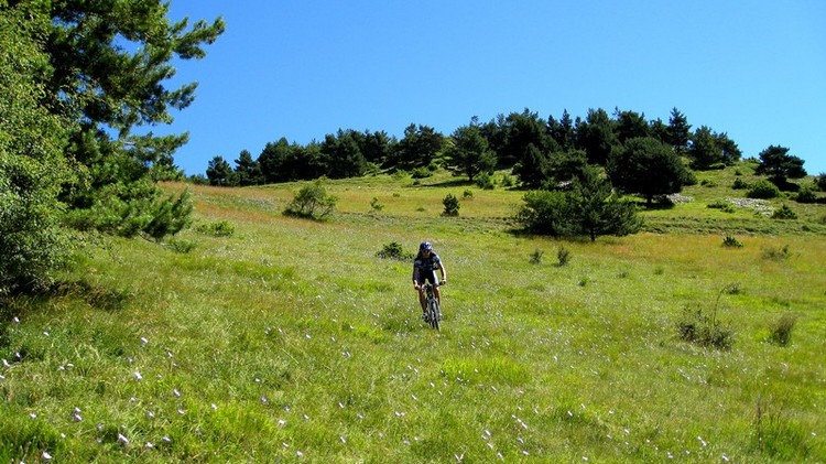 #10 L L'ami des fleurs : Freeride au début de la descente sur la Cluse pour éviter la piste