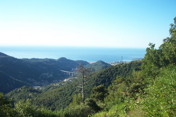 Menton : La vue est bien dégagée aujourd'hui