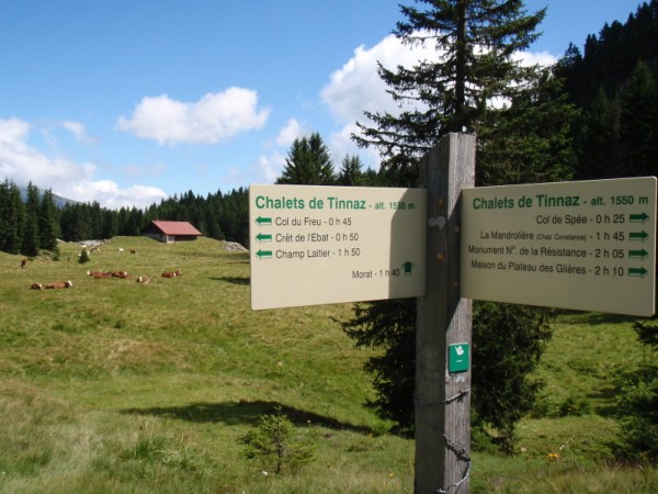 #5 Chalet de Tinnaz : Direction col du Spée(cialized) trop facile.... Chalet de Tinnaz : Direction col du Spée(cialized) trop facile....