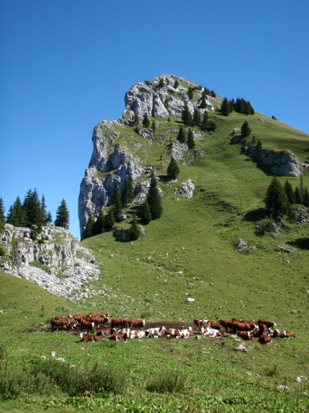#4 col du cable : Arrivée au col du cable (à gauche) et Roche parnal col du cable : Arrivée au col du cable (à gauche) et Roche parnal