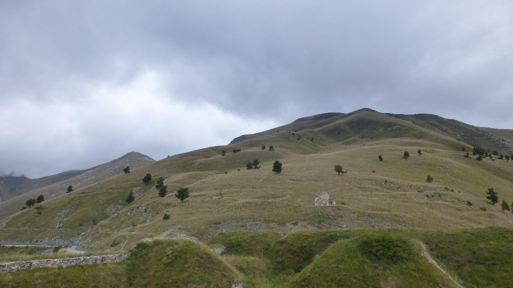 #26 Le Freeride descendu Le Freeride descendu