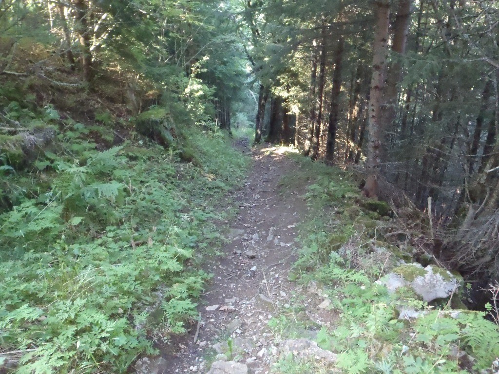 #9 Descente du sentier des Tours, tous les gros cailloux ont été retirés, 100% sur le VTT. Descente du sentier des Tours, tous les gros cailloux ont été retirés, 100% sur le VTT.