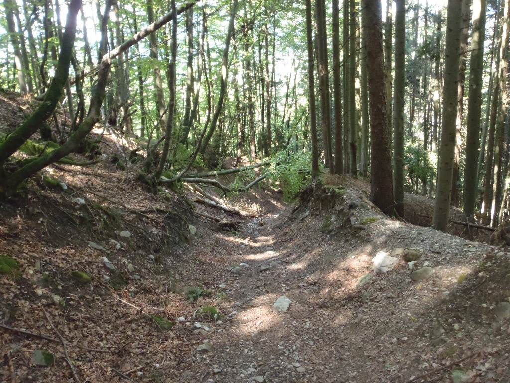 #14 Jonction avec le sentier qui descend de Romme, pour finir à Scionzier. Dommage la fin du Tour de la Chaine du Bargy, est proche. Jonction avec le sentier qui descend de Romme, pour finir à Scionzier. Dommage la fin du Tour de la Chaine du Bargy, est proche.