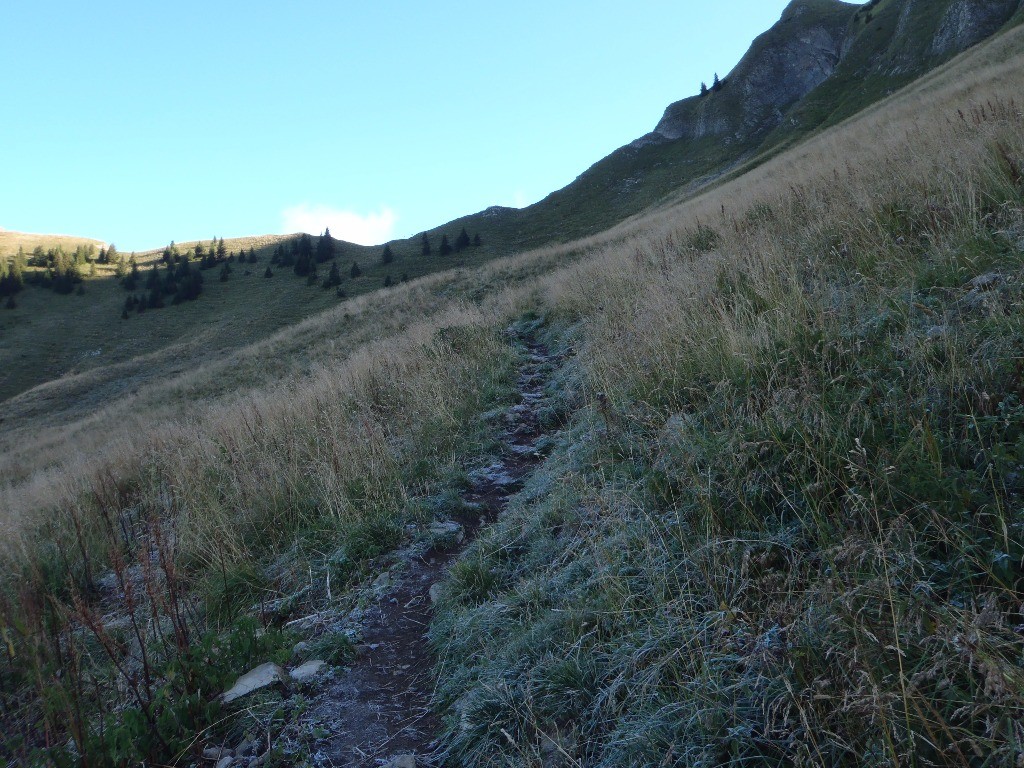 #4 Grimpée du Col de Sosay. Je suis en mode portage, le GPS affiche 2°. Grimpée du Col de Sosay. Je suis en mode portage, le GPS affiche 2°.