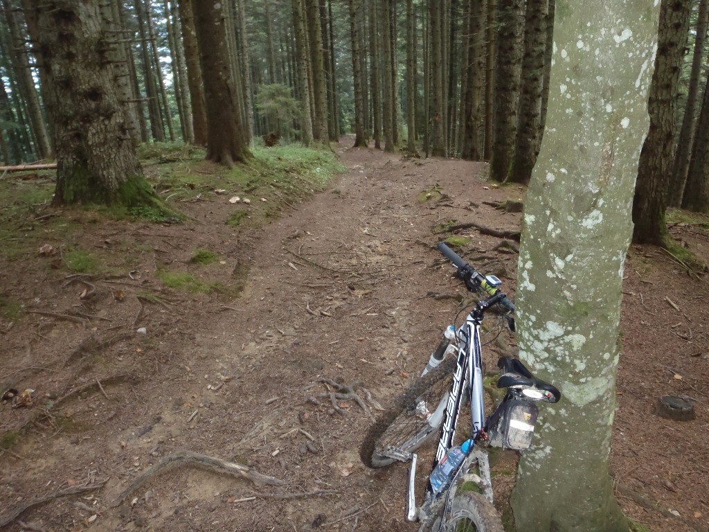 #11 Descente des Bottes, moi j Descente des Bottes, moi j'adore, un mélange de tout : cela passe tout sur le VTT ou presque.