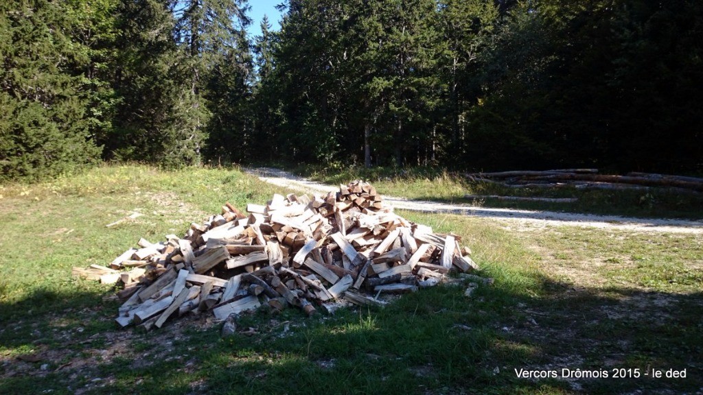 #3 Quand homme blanc couper beaucoup de bois ... Quand homme blanc couper beaucoup de bois ...