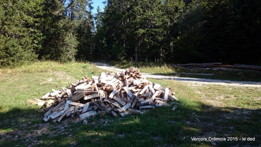 Quand homme blanc couper beaucoup de bois ...