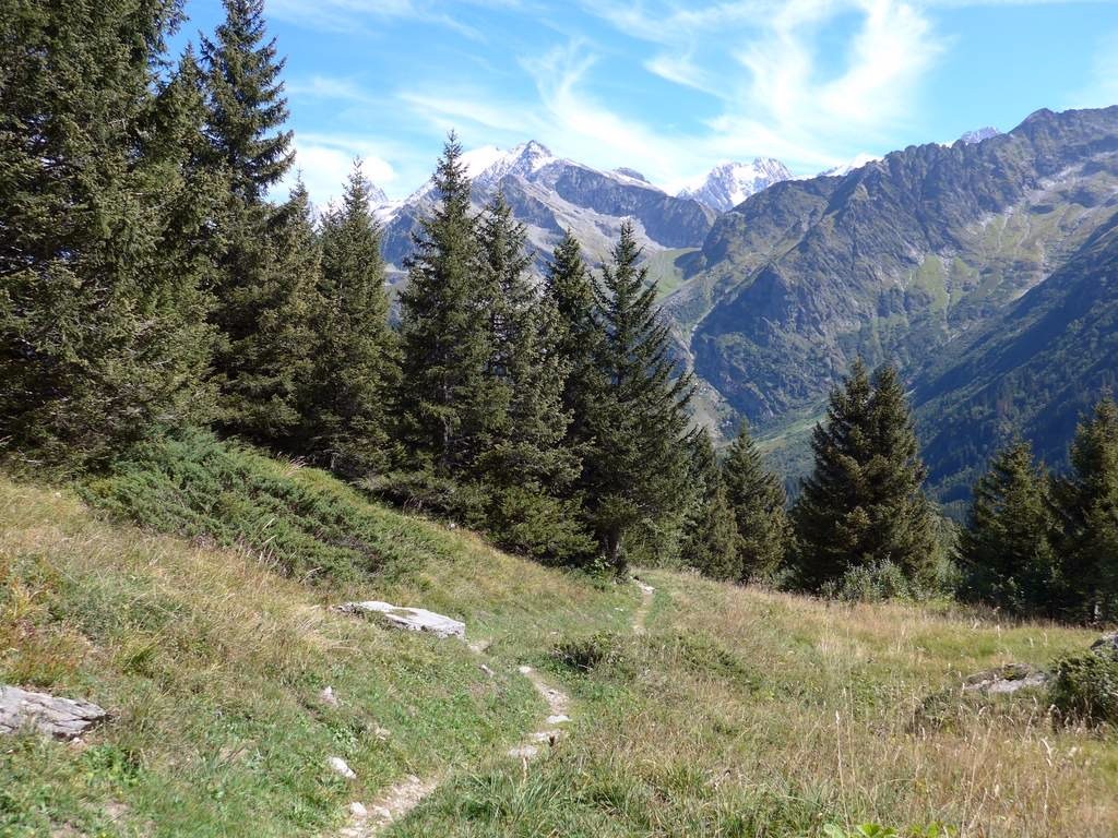#15 Sentier des Prés Sentier des Prés