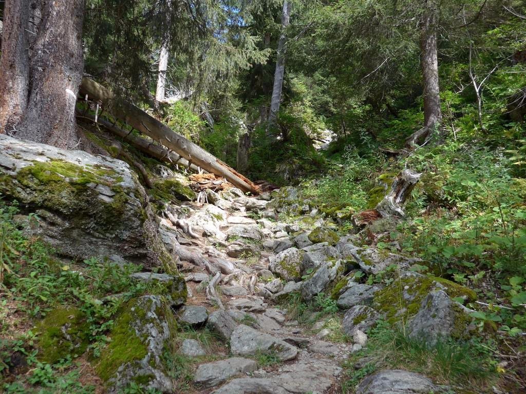 #16 Montée à Tré la Tête Montée à Tré la Tête