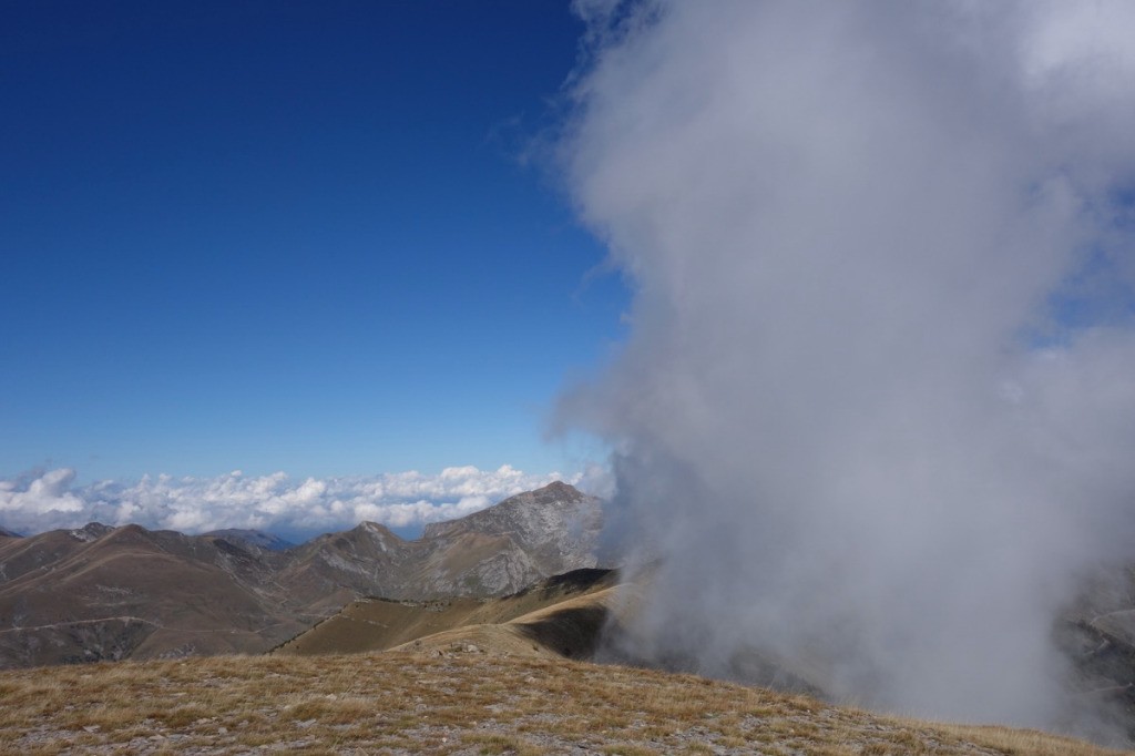 Une attaque furtive de nebbia...