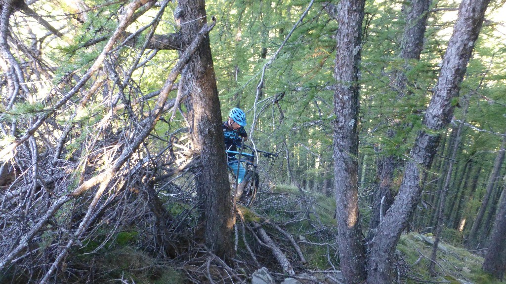 Après le Fort, le sentier devient pénible à suivre