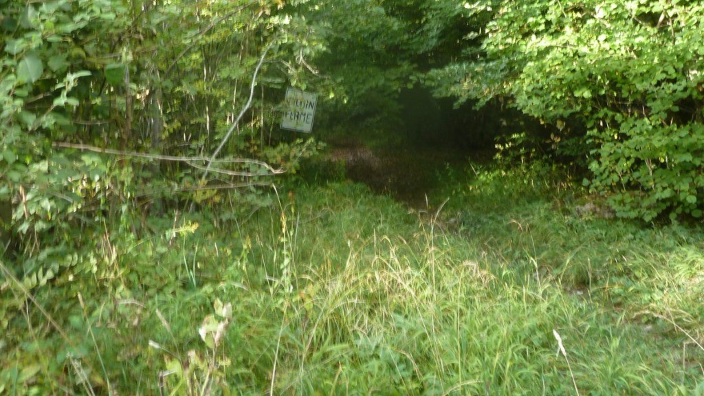 le sentier des Essarts mais on y va quand même car le panneau n'est pas officiel