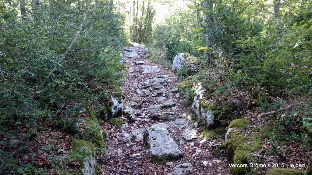 #24 Court passage cassant de la DH sur St Martin en Vercors Court passage cassant de la DH sur St Martin en Vercors