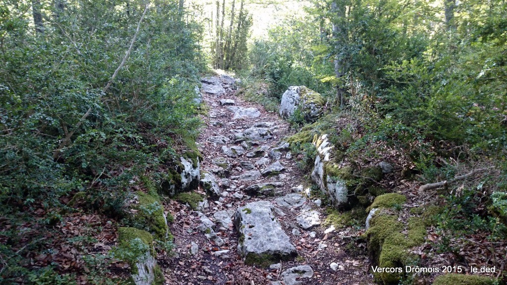 Court passage cassant de la DH sur St Martin en Vercors