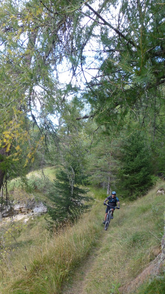 #22 Dans la forêt Dans la forêt