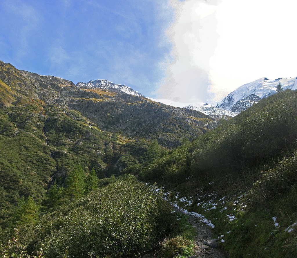 Vue dans le rétroviseur