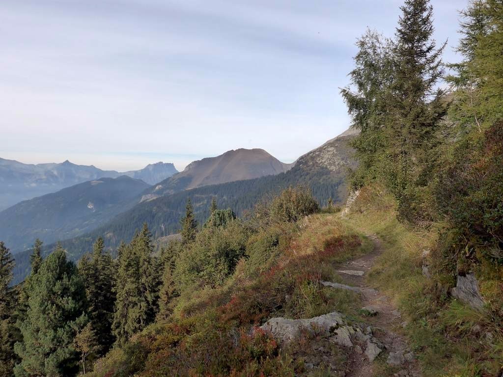 Sous le Mt Freugé