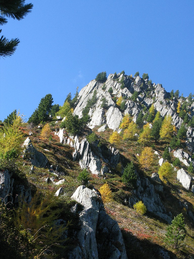 Trône du berger, variante d'Arpette du TMB