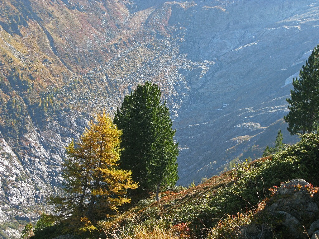 Trône du berger, variante d'Arpette du TMB