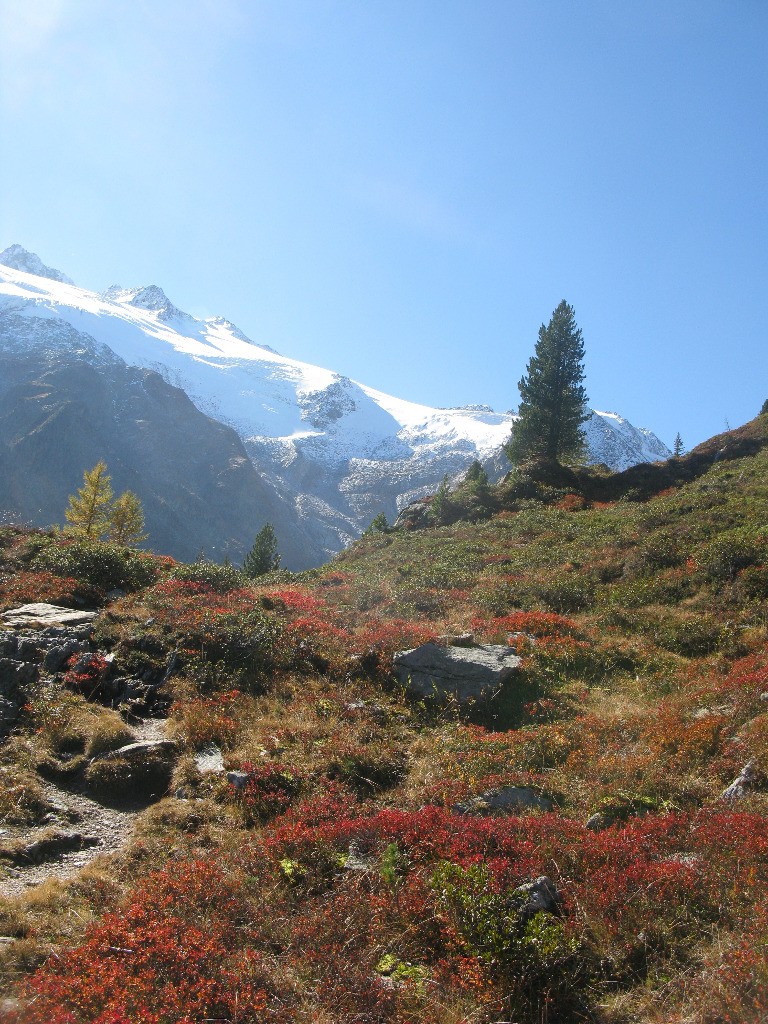 Trône du berger, variante d'Arpette du TMB