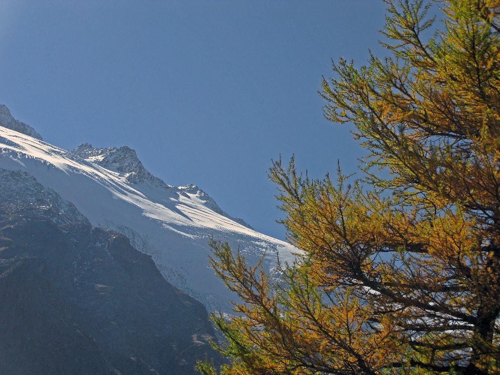 Glacier des Grands