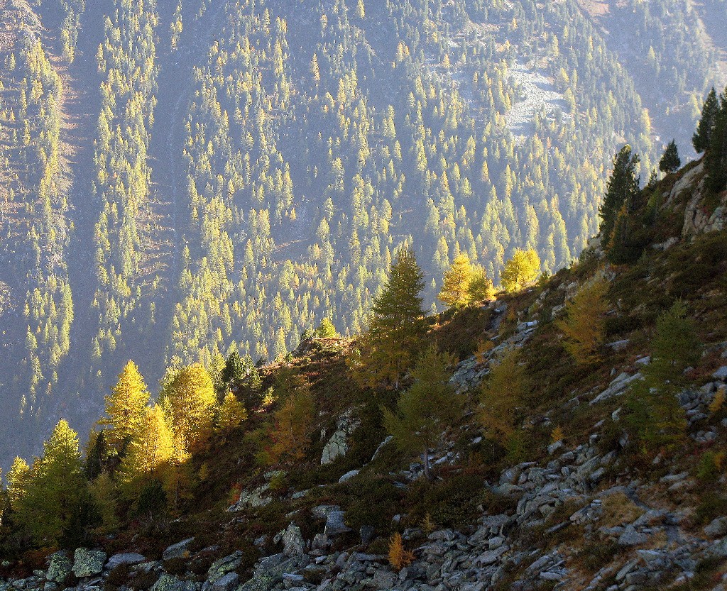 Traversée, variante d'Arpette du TMB