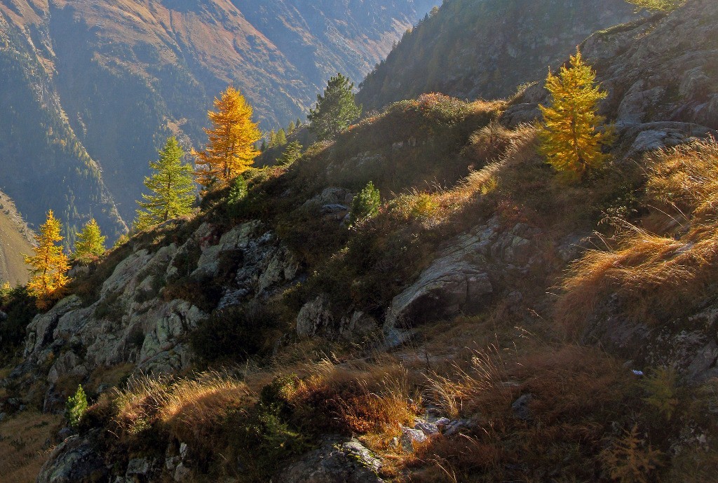 Traversée, variante d'Arpette du TMB