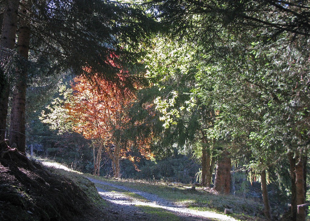 Piste du col des Posettes