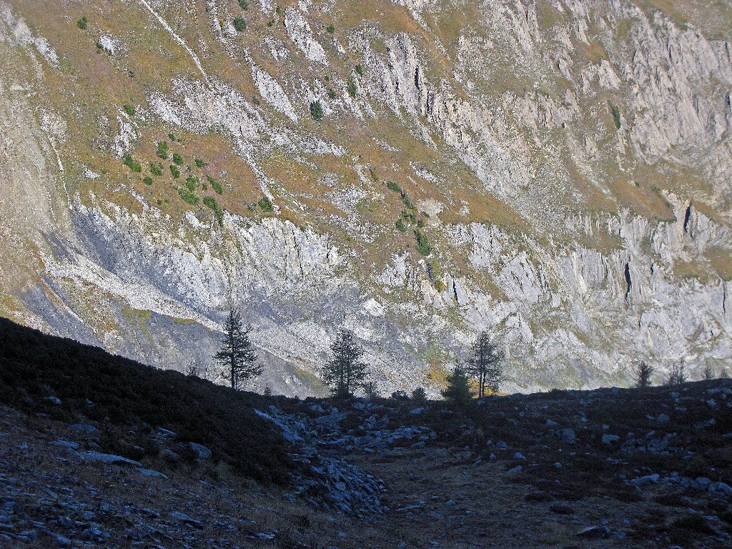 #7 Variante d Variante d'Arpette du TMB