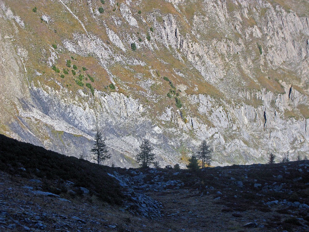 Variante d'Arpette du TMB