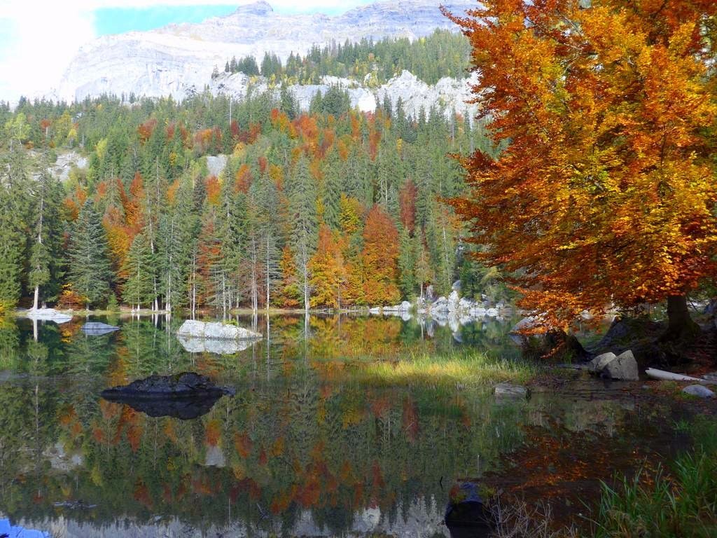 #1 Lac Vert Lac Vert