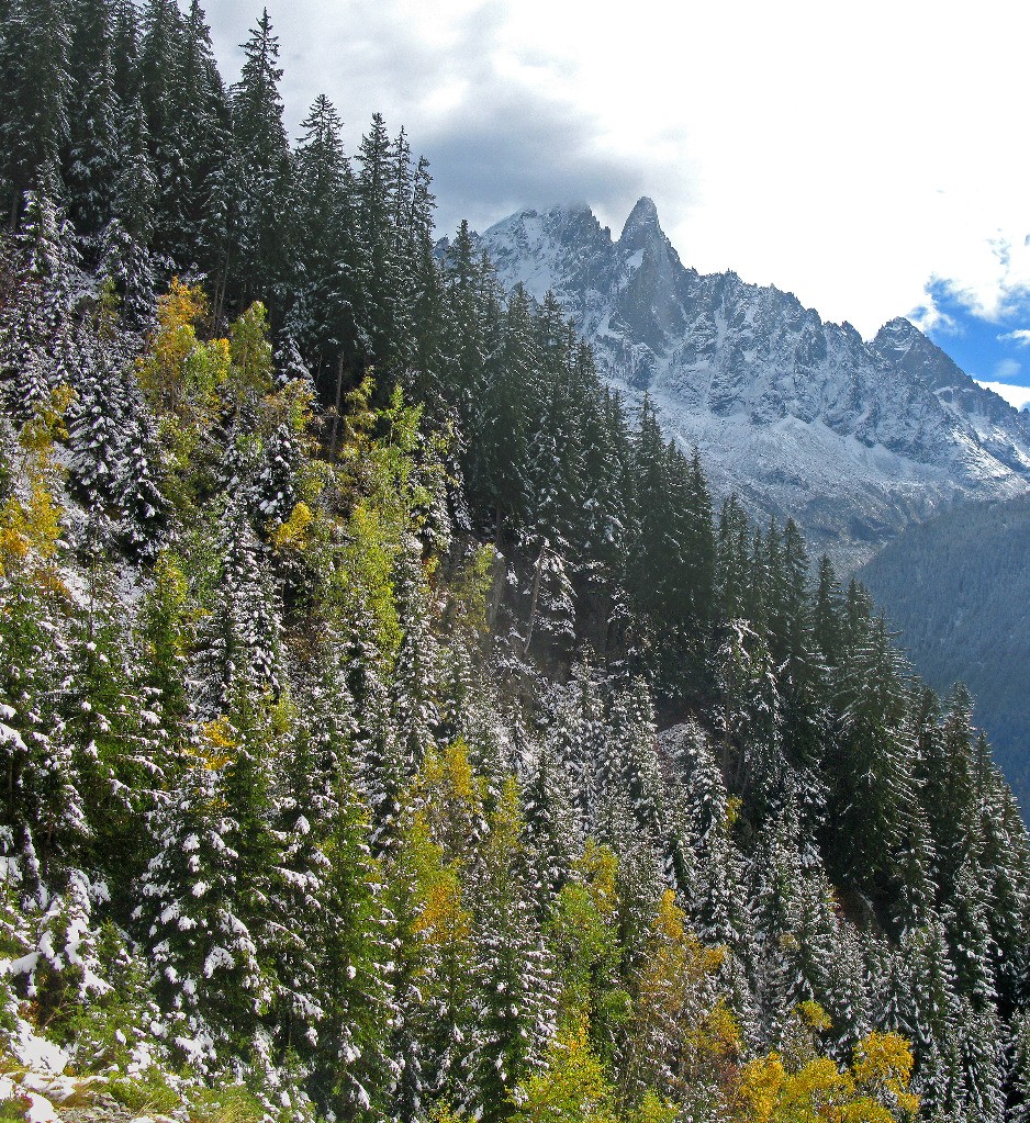 Aiguille Verte et Drus