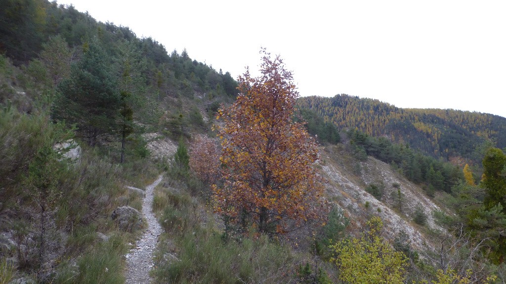 #1 Montée sur Ondres Montée sur Ondres