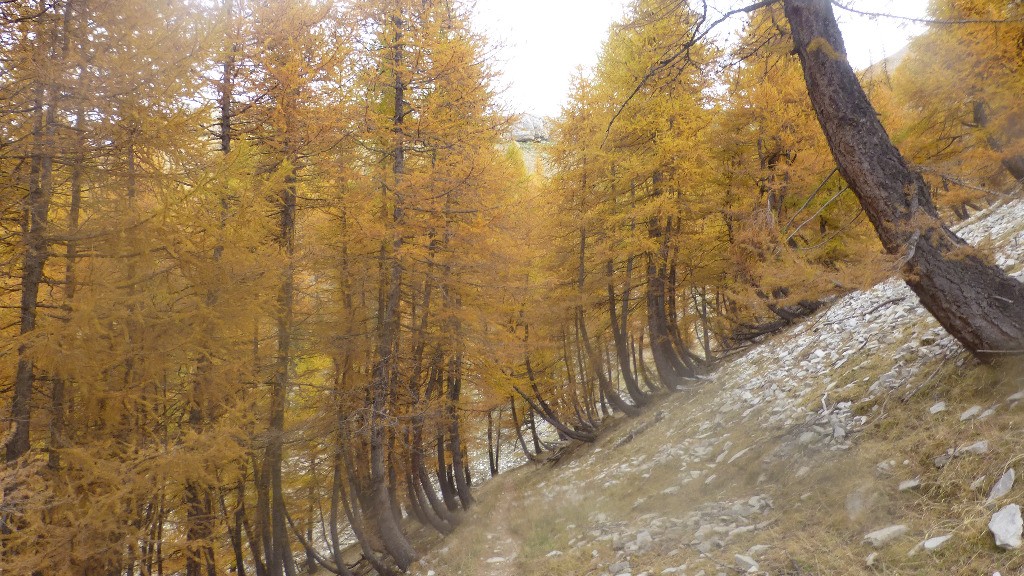 #7 Quel sentier ! Quel sentier !