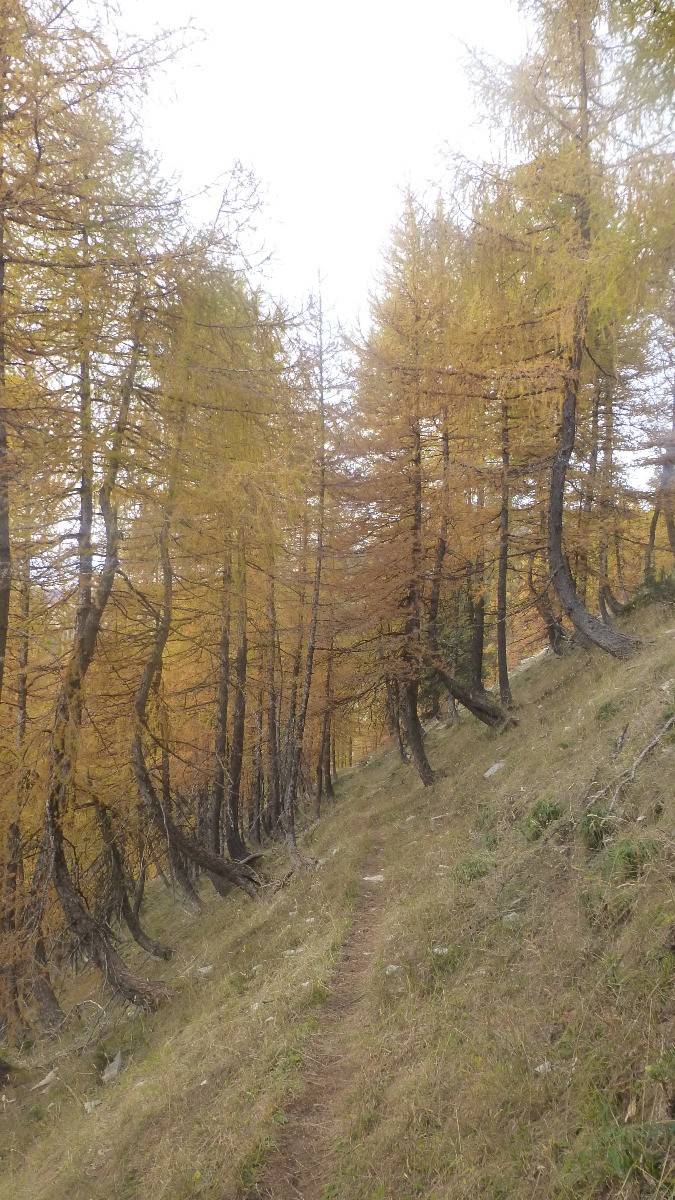 Descente sur Congerman