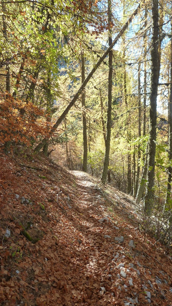 ambiance dans de la descente