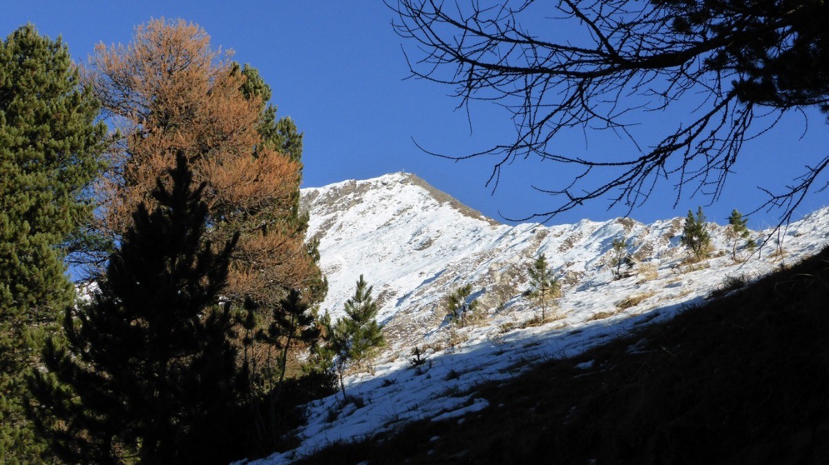 #14 ... au Mont Froid ... ... au Mont Froid ...