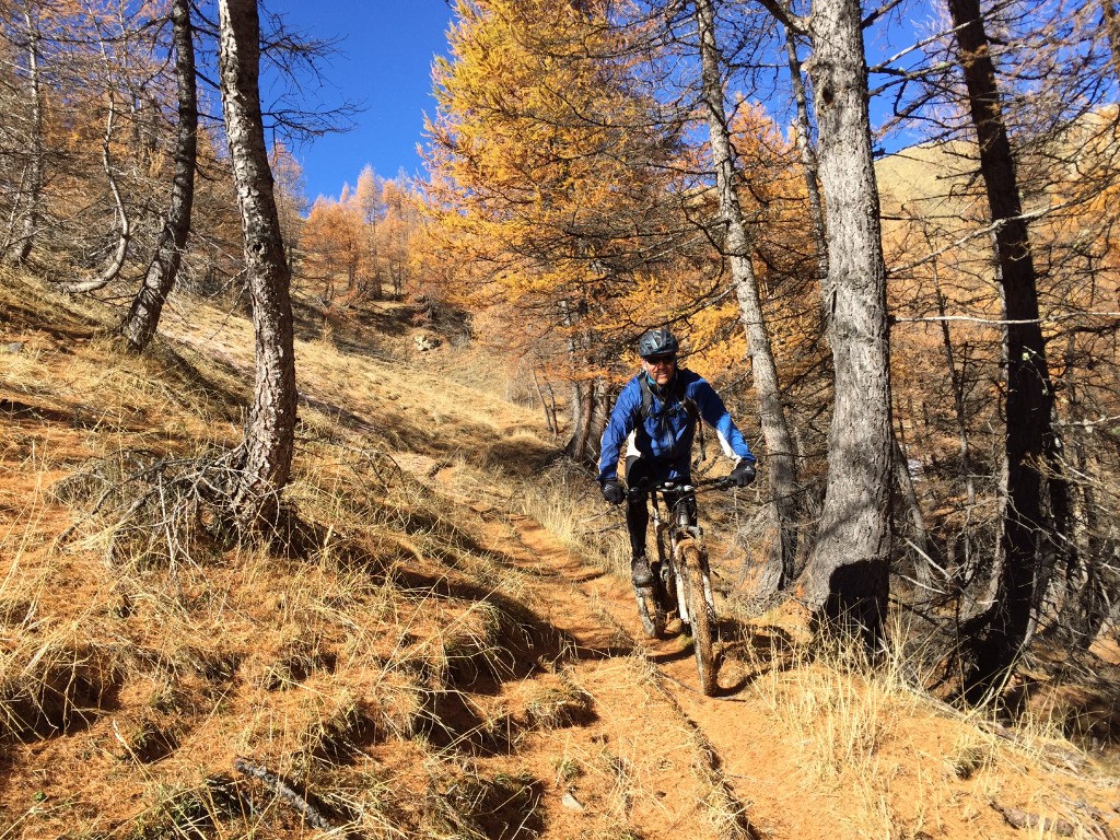 descente extra servi sur son tapis d'aiguilles