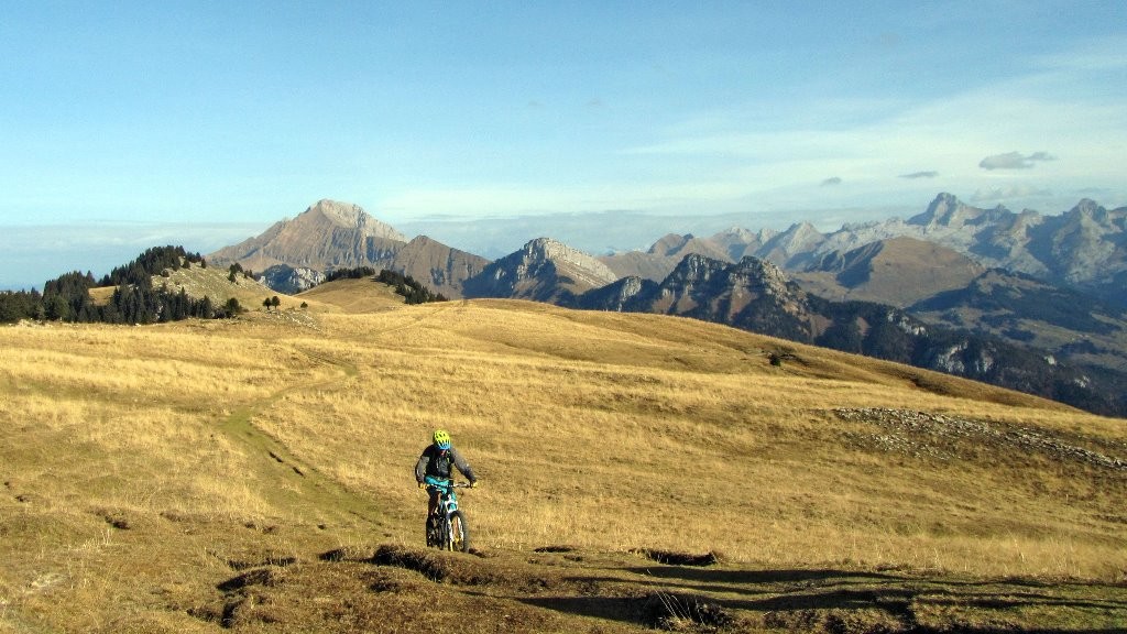 Plateau des Auges