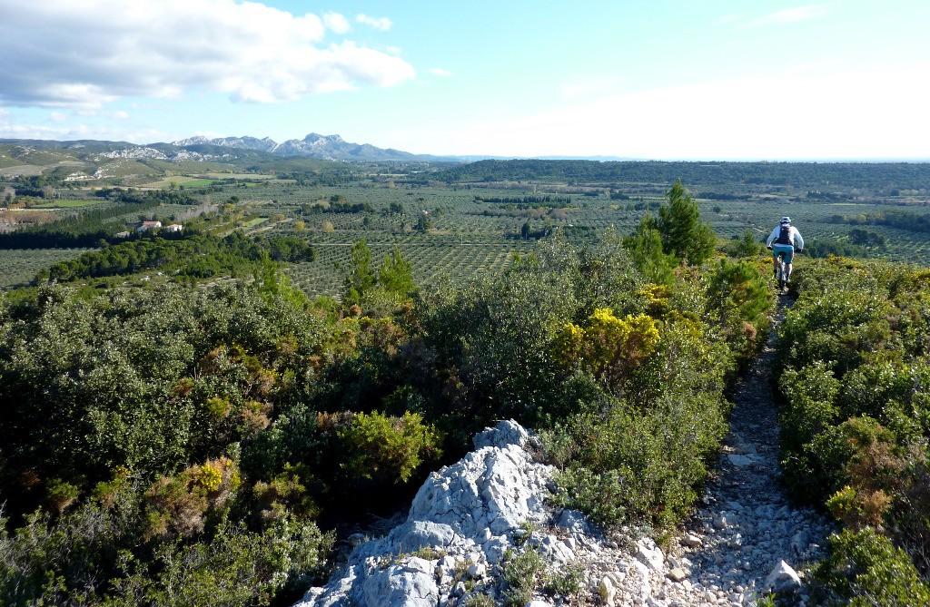 Les Alpilles, le pays des sentiers caillouteux :)