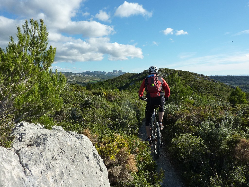 #6 Au coeur des Alpilles Au coeur des Alpilles