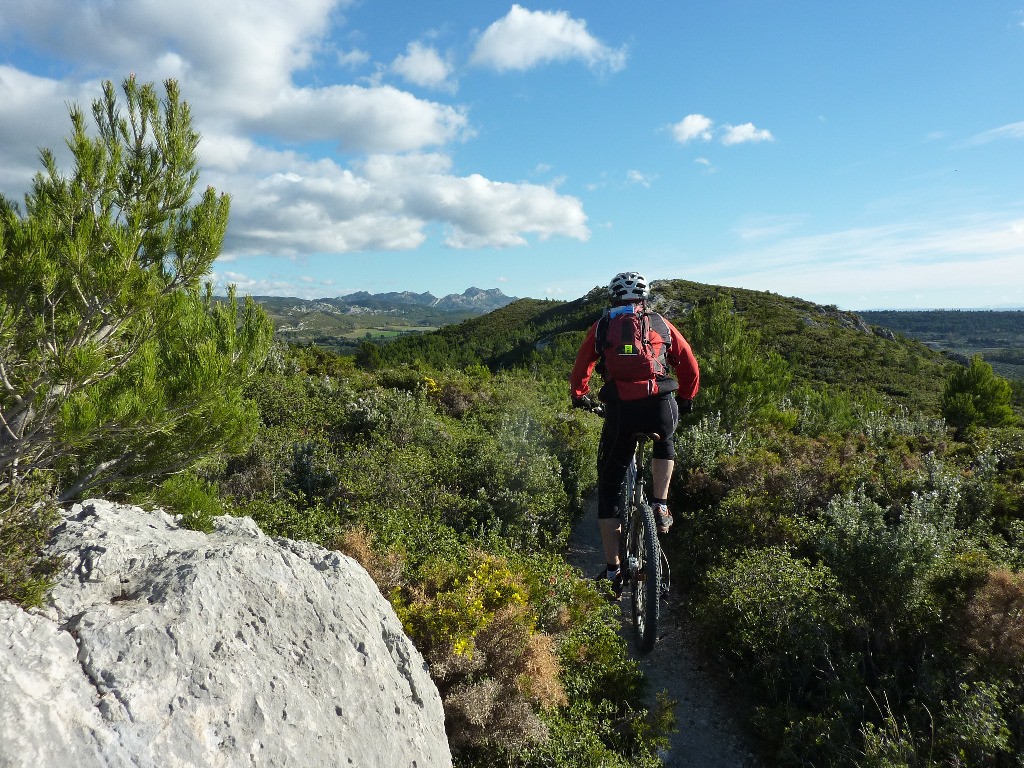 Au coeur des Alpilles