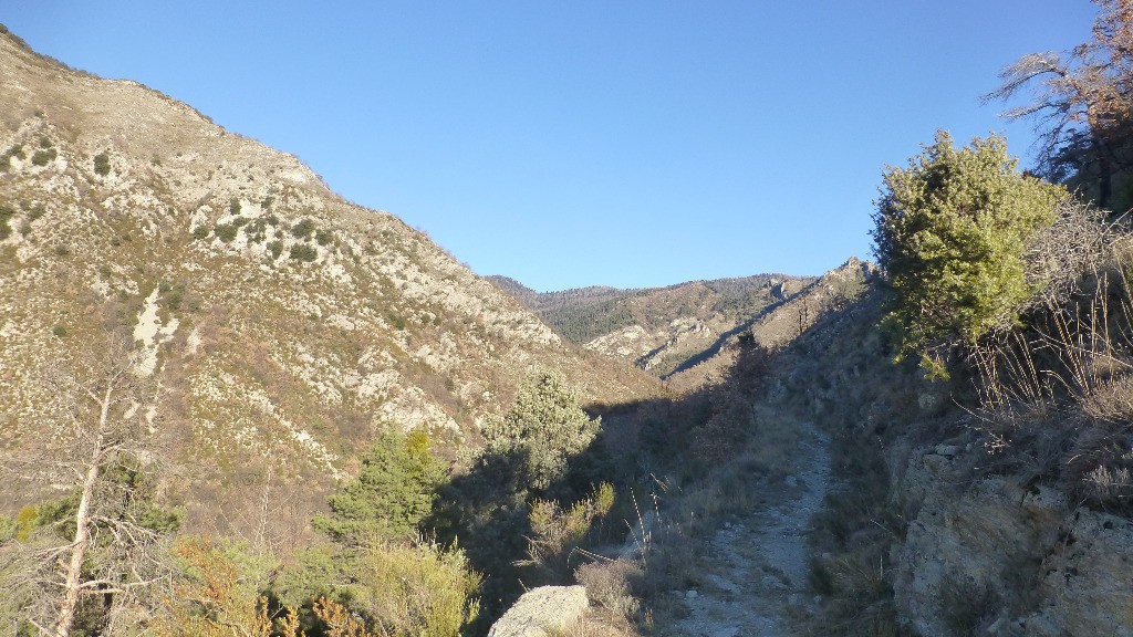 Les Granges tout là haut