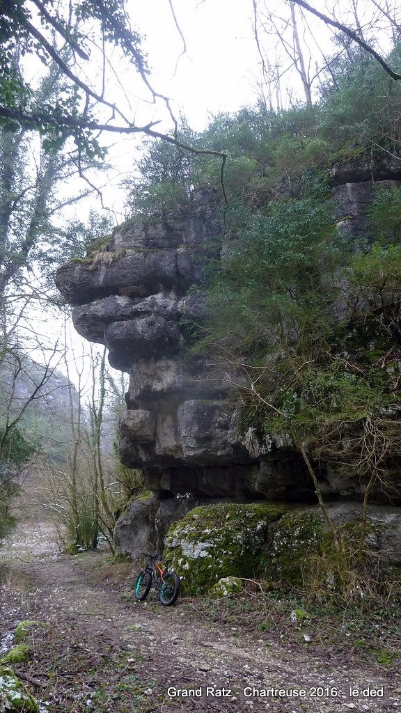 #8 Au bord de la D128 Au bord de la D128